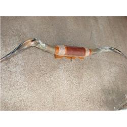 Large mounted longhorns, 74" from tip to tip