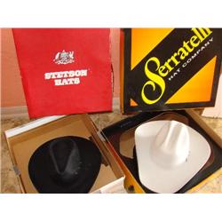 2 Cowboy Hats