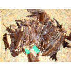 HUGE amount of pelts-too many to count!