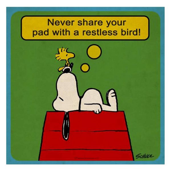 Restless Bird by Peanuts