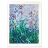 Image 1 : Iris by Monet (1840-1926)
