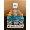 Image 2 : 12 Pack of Glacier Freeze Iceberg Rapid Rehydrtion