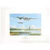 Image 1 : "MOSQUITO STING" PRINT