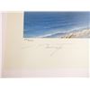 Image 2 : "THUNDERBOLT STRIKE" PRINT