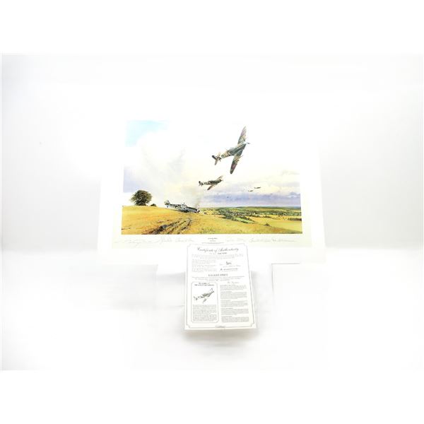 "EAGLES PREY" PRINT