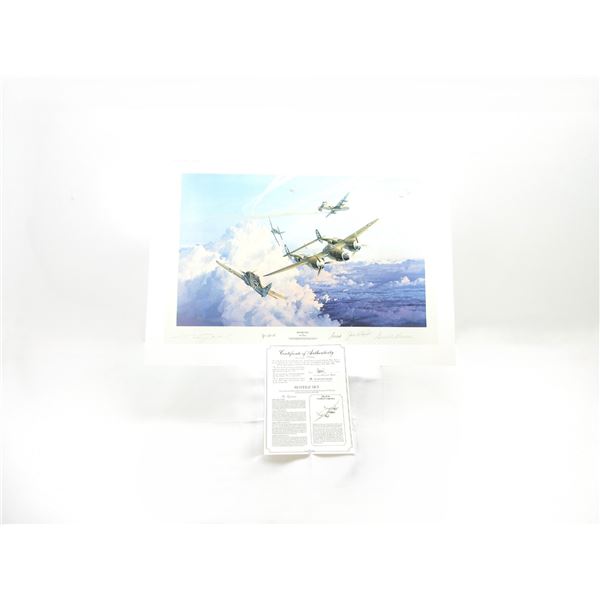"HOSTILE SKY" PRINT