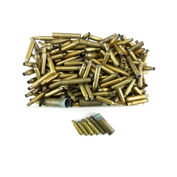 NON-PRIMED ASSORTED BRASS CASES LOT