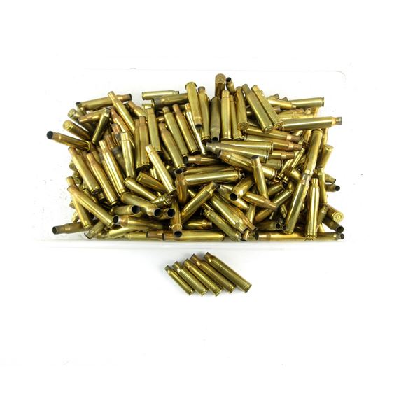 NON-PRIMED ASSORTED BRASS CASES LOT