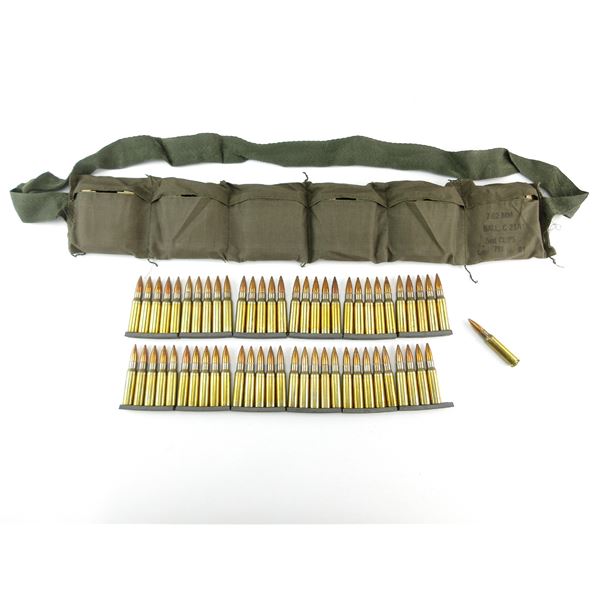 CANADIAN MILITARY 7.62 NATO AMMO LOT