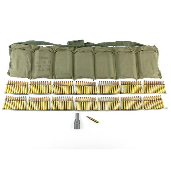U.S. MILITARY 5.56MM AMMO LOT