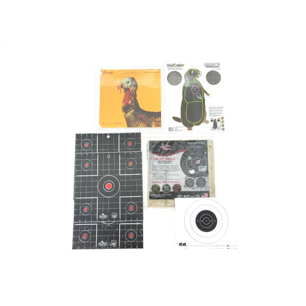 ASSORTED TARGETS LOT