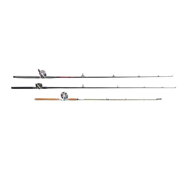 ASSORTED FISHING RODS WITH REELS LOT