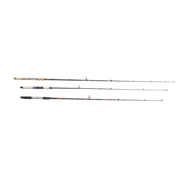 ASSORTED FISHING RODS LOT