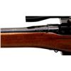 Image 8 : LEE ENFIELD | Model: NO4 MKI* Sporter | Caliber: .303 BR