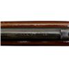 Image 9 : COOEY/WINCHESTER | Model: 64 | Caliber: .22 LR