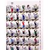 Image 3 : 2013 TIGER WOODS SIGNED SPA GOLF UNCUT SHEET 57/200 (UPPER DECK COA)