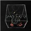 Image 1 : QUAD SIGNED WOOD, ASTIN, SERKIS, DAVIES  SIGNED LOTR "RING OF POWER" ON A CHAIN (WWOC COA)