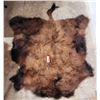 Image 1 : Tanned Buffalo Hide