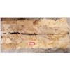 Image 1 : Tanned Hide Rug