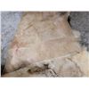 Image 2 : Tanned Hide Rug