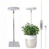 Image 1 : Lordem Grow Light for Indoor Potted Plants, Model X003OXQMR1, Pack of 2