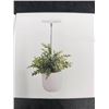 Image 1 : Lordem Grow Light Hanging Planter System