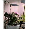 Image 3 : Lordem Grow Light for Indoor Plants with Clip and Adjustable Design