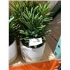 Image 2 : Set Of 2 Artificial Potted Plants With Ceramic Planters