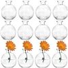 Image 1 : SOUJOY Set of 12 Small Glass Ball Bud Vase, Unique Mini Low Sitting Flower Vase, Clear Floral Center