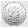 Image 2 : 2016 $50 Mythical Realms of the Haida Series: The Bear 5oz Fine Silver
