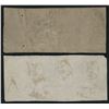 Image 2 : Saint John, New Brunswick, Benjamin Smith 5 & 10 Shillings, 1835