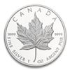 Image 2 : 1989-2003 Silver Maple Leafs - Lot of 4