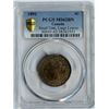 Image 1 : 1891 One Cent - Small Date, Large Leaves