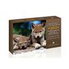 Image 8 : 2010 - 2015 Canadian Specimen Sets - Lot of 6