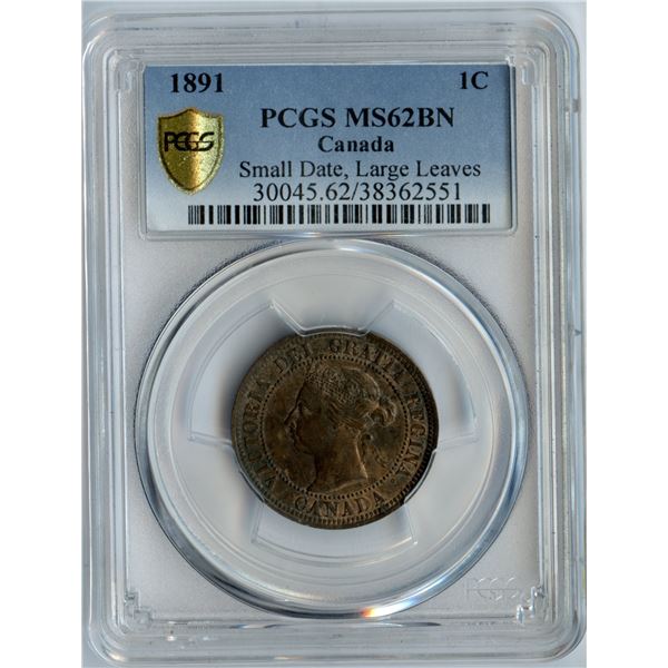 1891 One Cent - Small Date, Large Leaves