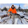 Image 2 : 7 Day Canadian Wolf Hunt for 2 in Heated Blinds