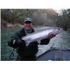 Image 2 : 2 day NW Oregon Steelhead Fishing trip for 2 between Feb-April 2026