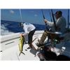Image 6 : 5 night/ 4 day fishing trip in Costa Rica for two people Feb 16-21,2026