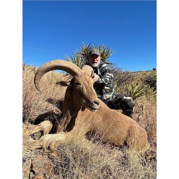 Hunt Aoudad with Rowdy McBride