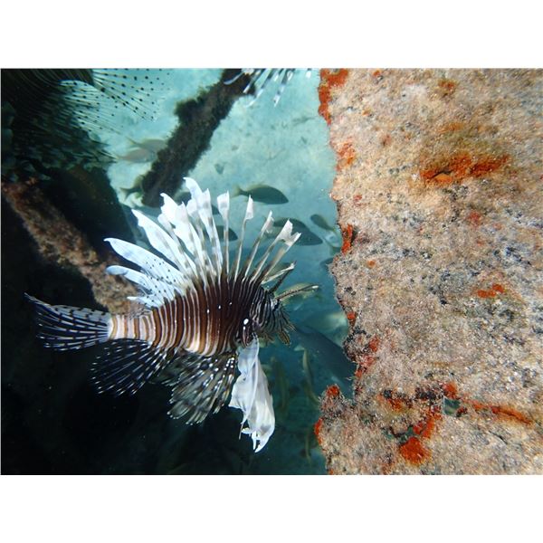 7 Night Exursion at Abaco, Bahamas