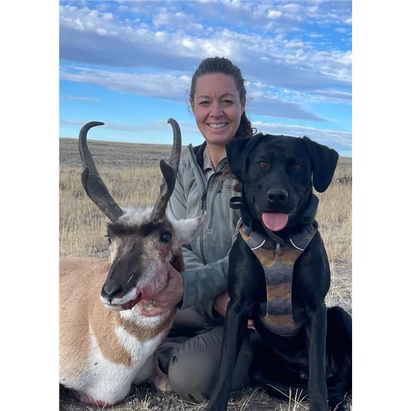 2025 Commissioners Deer, Elk or Pronghorn license