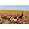 Image 2 : 2025 Commissioners Deer, Elk or Pronghorn license