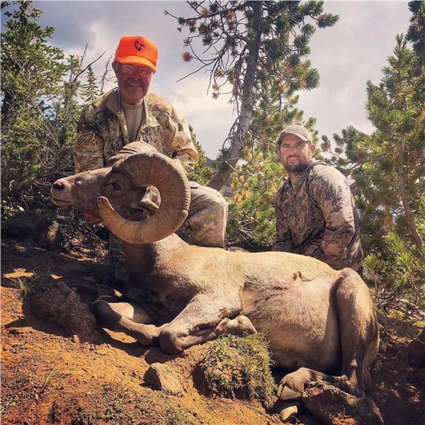 2025 Wyoming Governor's Rocky Mountain Bighorn Sheep License