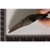 Image 5 : MEGALODON TOOTH 3" X 1.75" IN RIKER DISPALY BOX