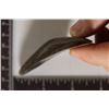Image 6 : MEGALODON TOOTH 3" X 1.75" IN RIKER DISPALY BOX