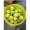Image 3 : BUCKET OF TENNIS BALLS