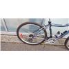 Image 2 : GREY/ BLUE INFINITY BIKE