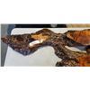 Image 2 : LARGE BURL LACQUERED CLOCK