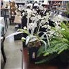 Image 2 : 2 SMALL ARTIFICIAL PLANTS