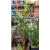 Image 2 : TWO ARTIFICIAL PLANTS